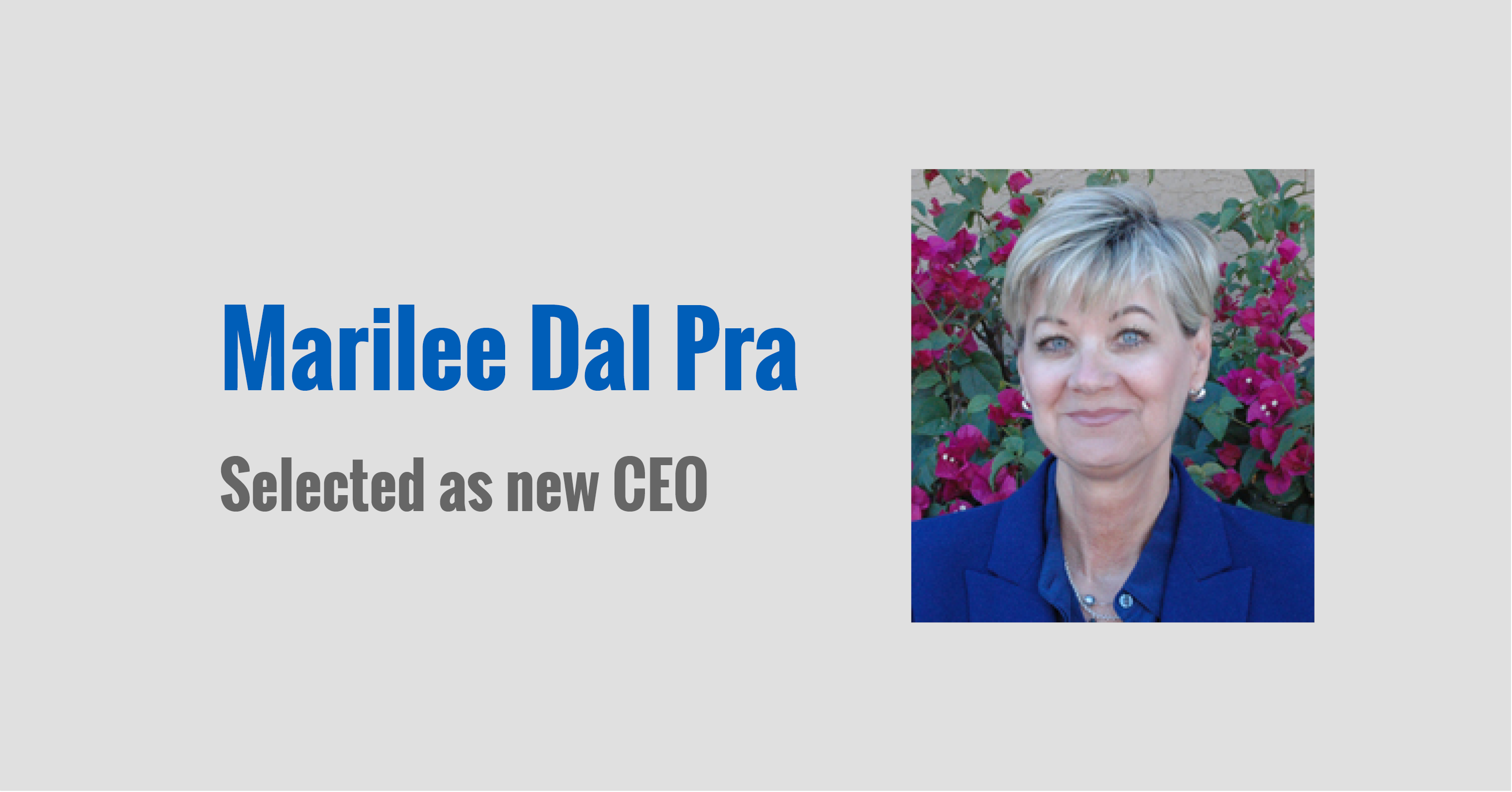 New CEO Marilee